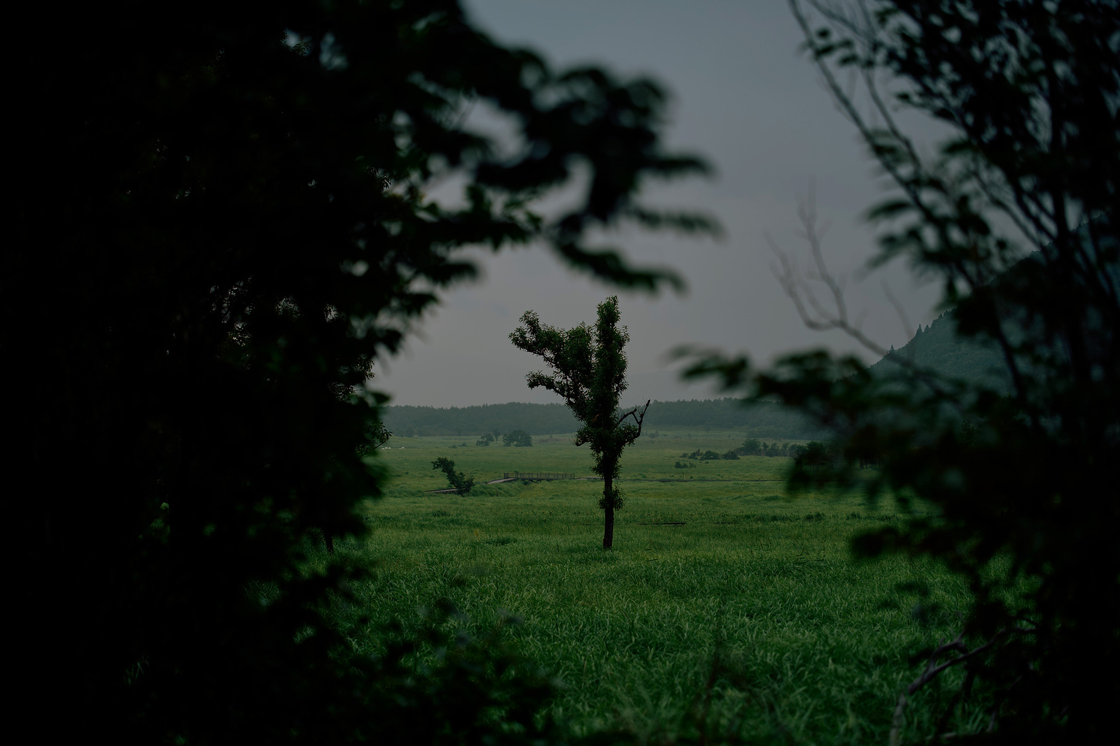 concept-bg