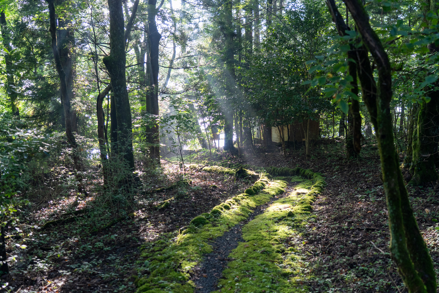 <br />
<b>Warning</b>:  Undefined variable $room_name in <b>/home/wp070944/wenavillage-kuju.com/public_html/wp-content/themes/wenavillage/single-sightseeing.php</b> on line <b>65</b><br />
