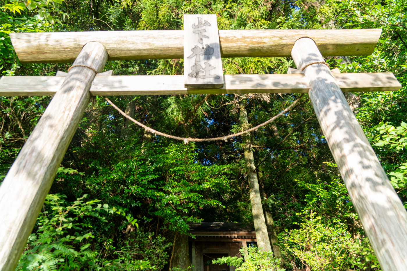 <br />
<b>Warning</b>:  Undefined variable $room_name in <b>/home/wp070944/wenavillage-kuju.com/public_html/wp-content/themes/wenavillage/single-sightseeing.php</b> on line <b>73</b><br />
